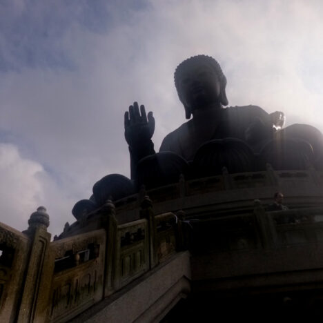 Loving Vietnam Already
