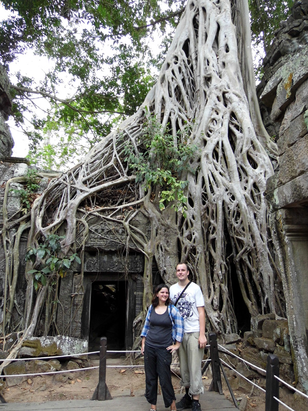 ta prohm, angkor, siem reap, cambodia