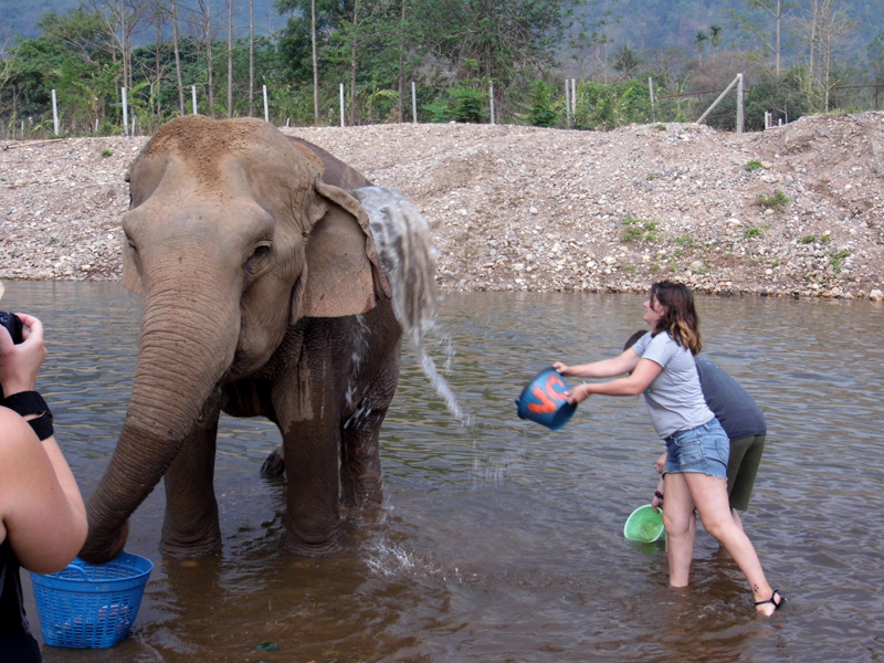 Elephant Nature Park, Thailand