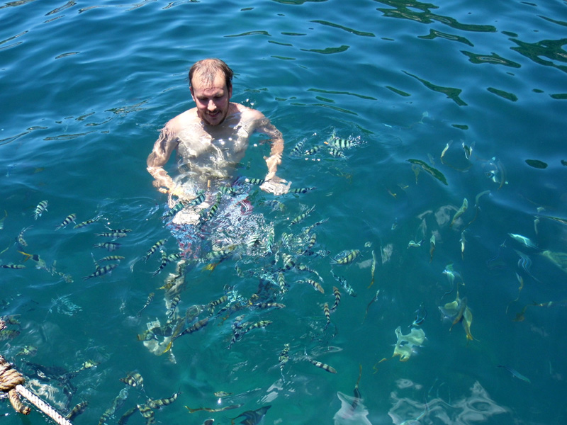 snorkelling tour, snorkeling, koh tao, thailand