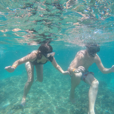 Our Australia Story So Far – An Update From Down Under