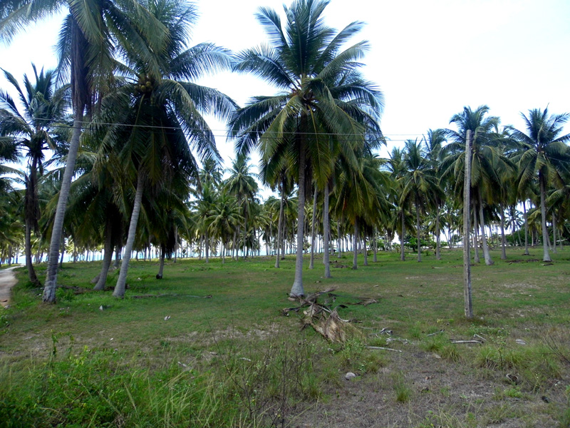 P1020759