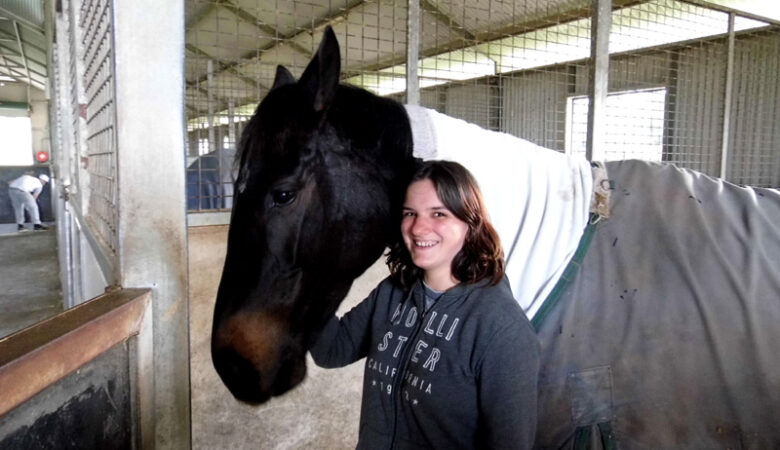 Working at a racing yard, New South Wales, Australia