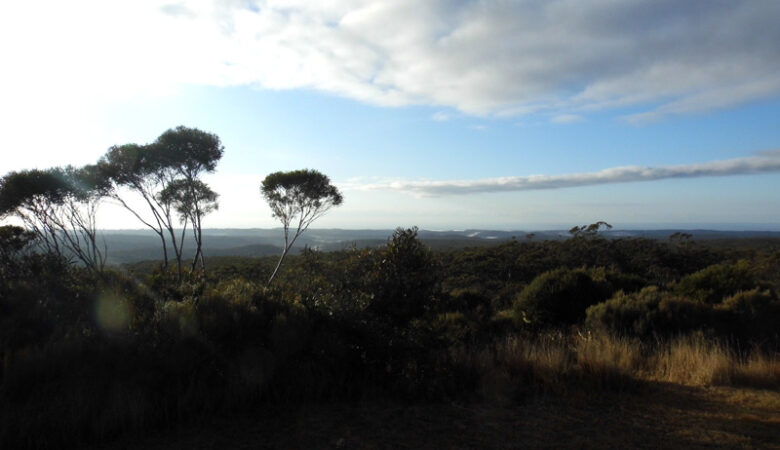 Blue Mountains, Sydney, Australia