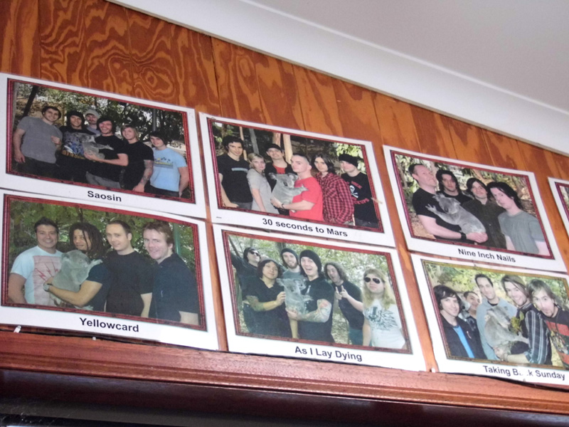 P1040311