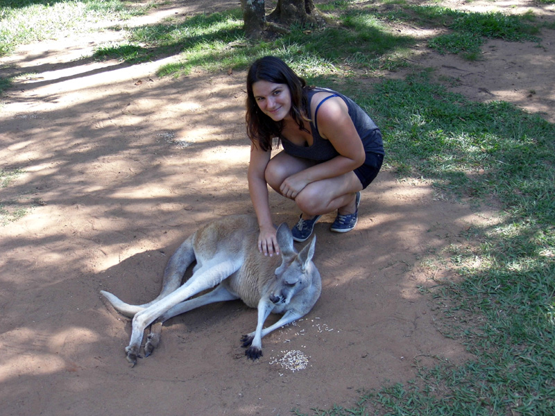 Australia Zoo kangaroo petting