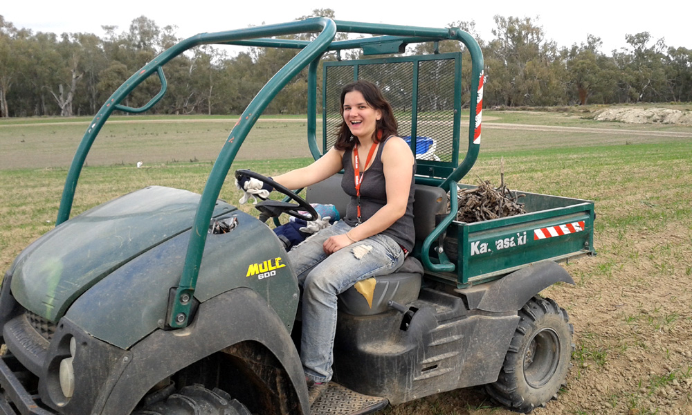 Farm work, fruit picking, backpacker, working holiday visa, Australia