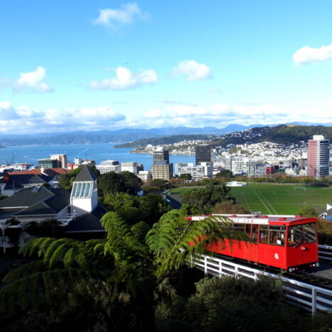 North Island to South Island Journey in Pictures