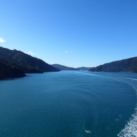 Museums, Views and More Hobbiting Around in Windy Wellington