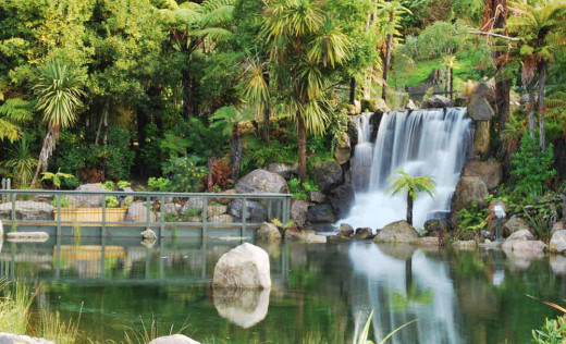 rainbow-springs-kiwi-wildlife-park-1194633