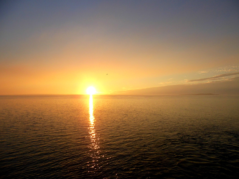 Sunset, Fraser Island, Australia