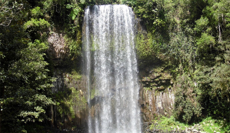Millaa Millaa waterfall, Atherton tablelands, Queensland, Australia