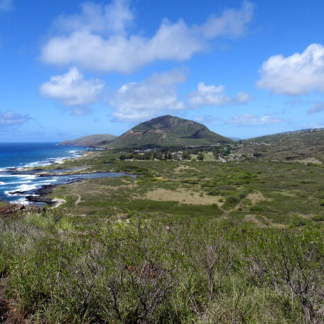 A Road Trip to the North Shore of Oahu, Hawaii