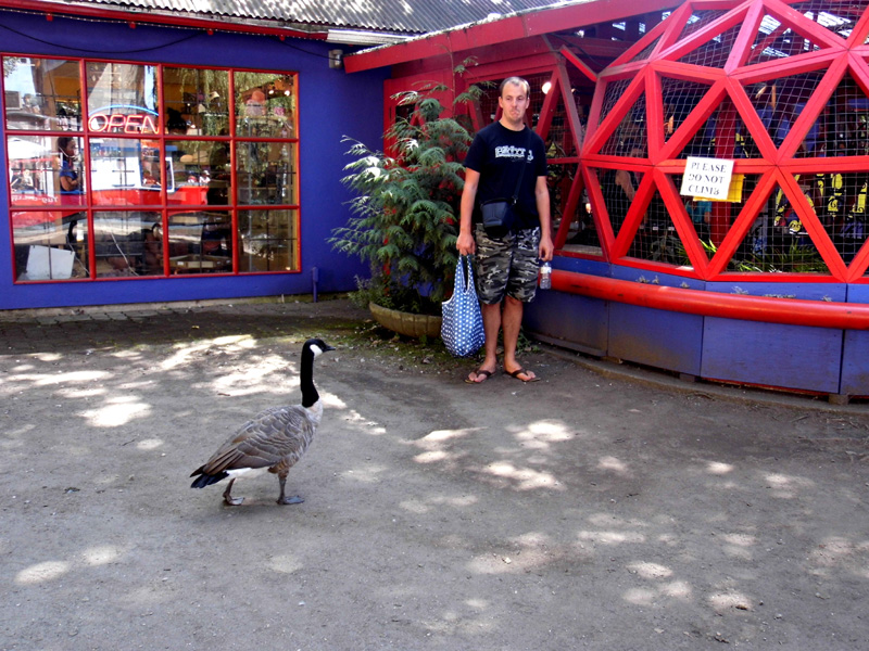 p1090036