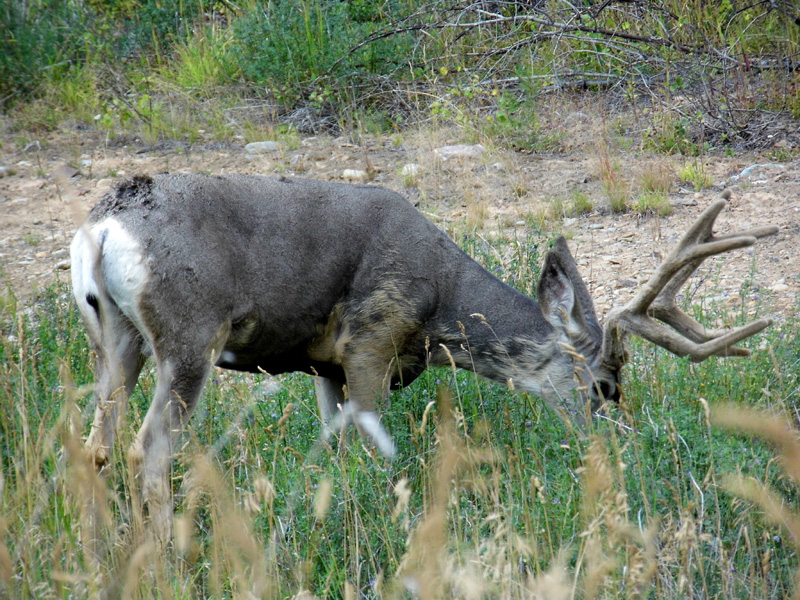 p1090333