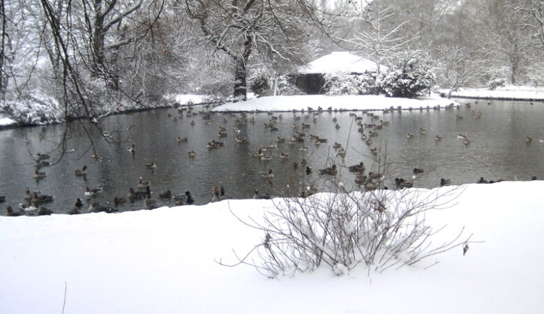 Park, Munich, Germany
