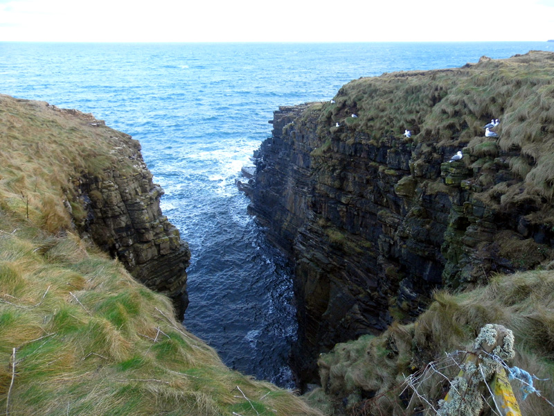 p1100566