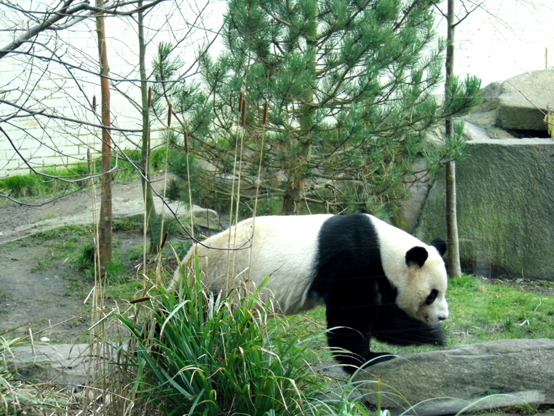 P1100840