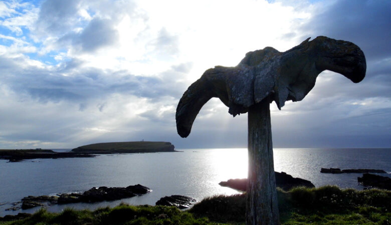 Whalebone, Birsay, Orkney, Scotland