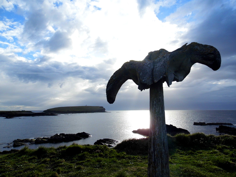Whalebone, Birsay, Orkney, Scotland