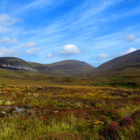 Scotland Road Trip Day 1: Glasgow to A Rainy Loch Lomond