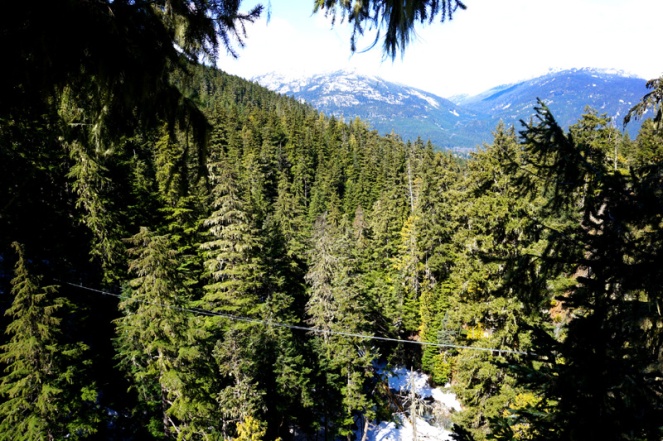 Ziplining view, Whistler, Canada