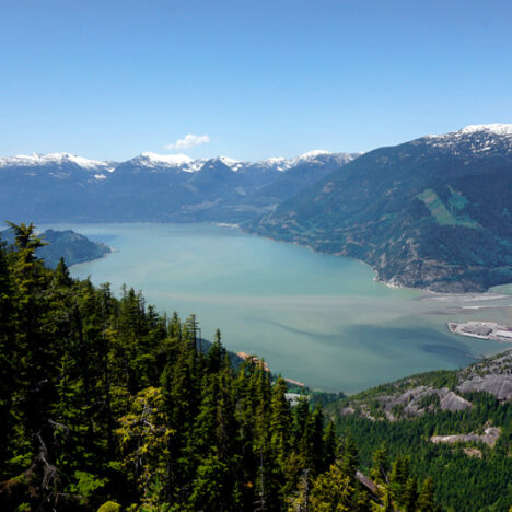 A Month In Vancouver: An Update On My Canadian Life