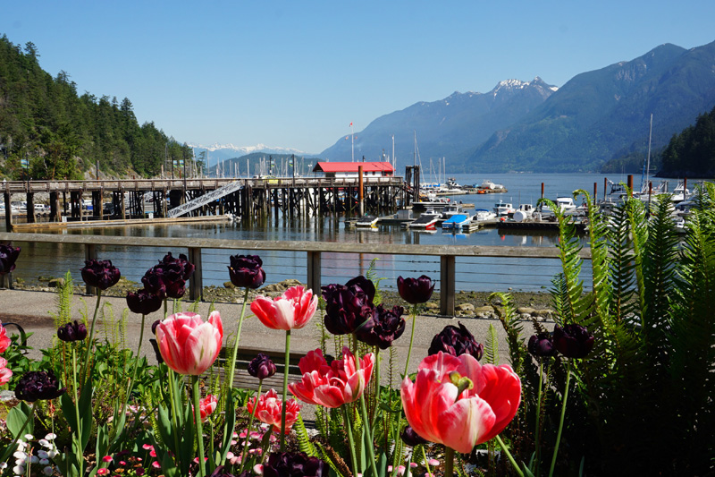 Horseshoe Bay, Vancouver, Canada