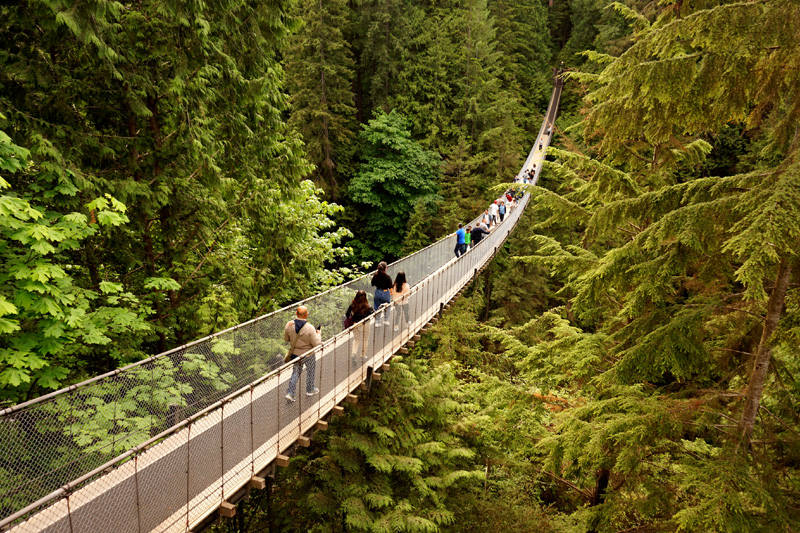 Capilano Suspension Bridge, Vancouver, Canada