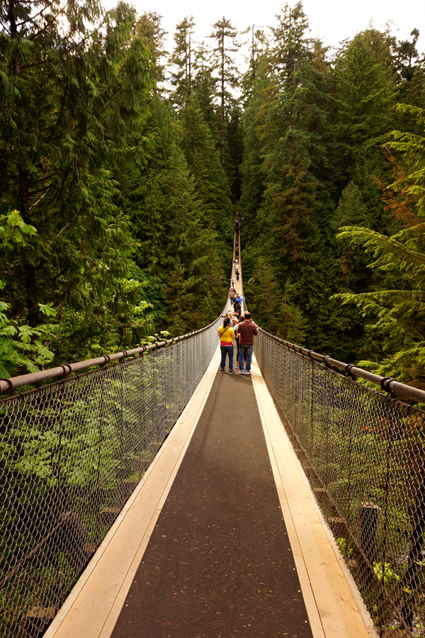 Capilano Suspension Bridge, Vancouver, Canada