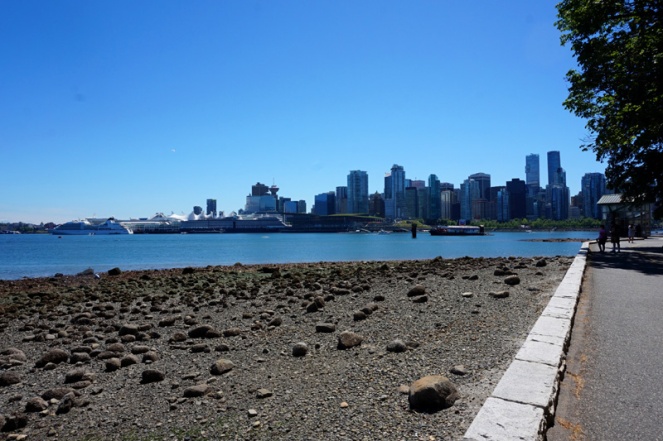 Vancouver city from Stanley Park, Vancouver, Canada