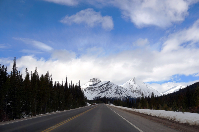 Icefields Parkway, Banff National Park, Canada