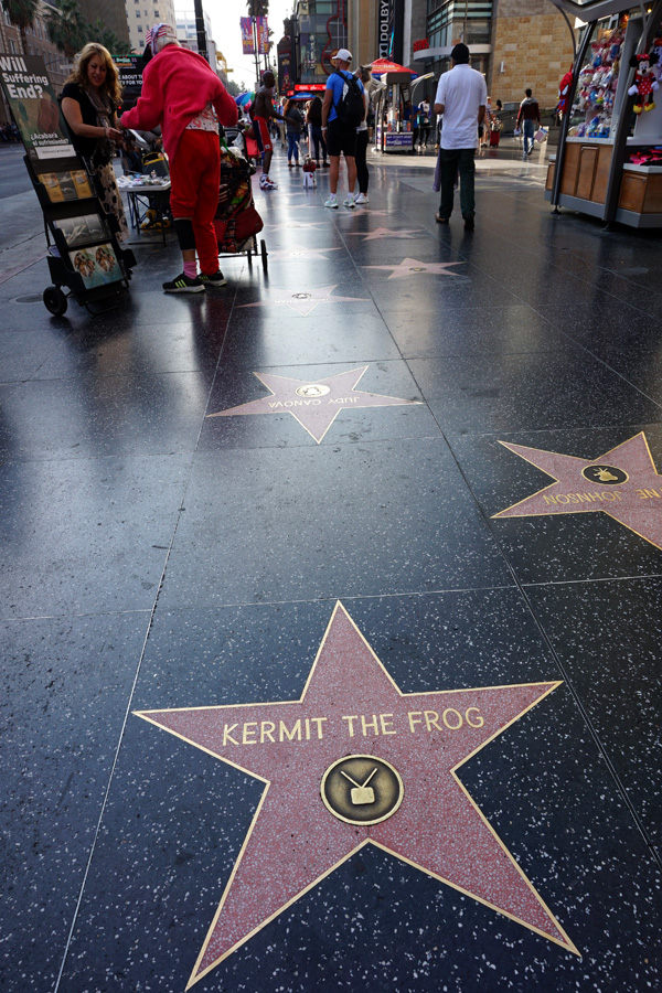 Hollywood Walk Of Fame, Hollywood Boulevard, LA, USA
