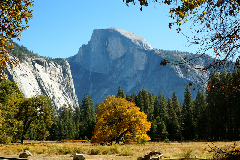 Yosemite Valley, Yosemite National Park, California, USA