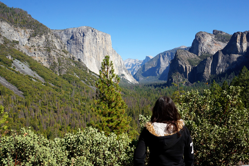 Tunnel View, Yosemite Valley, Yosemite National Park, California, USA