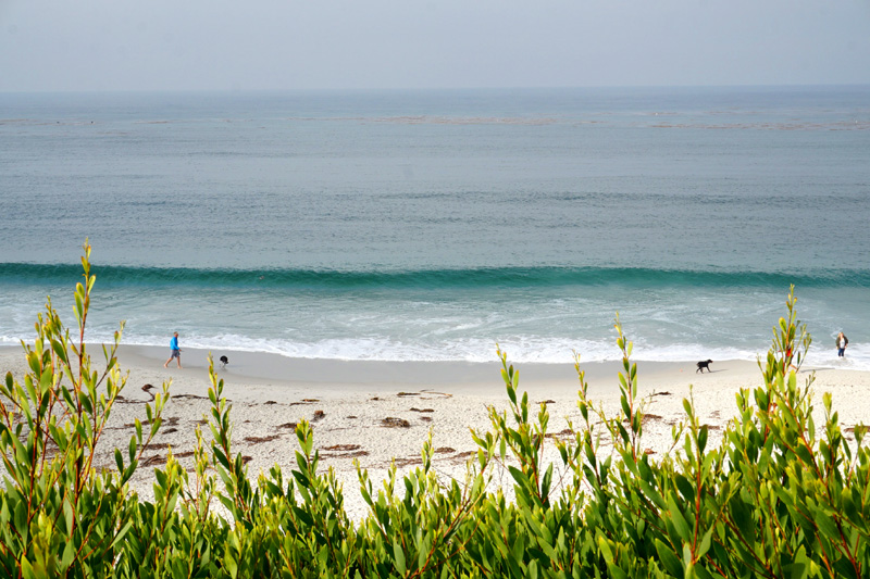 Carmel-By-The-Sea, Highway 1, California, USA