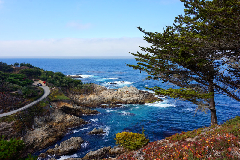Point Lobos Reserve, Big Sur, California, USA
