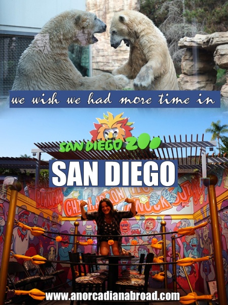 One Day In San Diego - tacos, cool neighborhoods & San Diego Zoo!