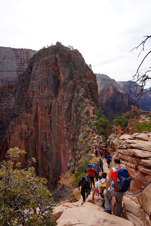 Angel's Landing, Zion National Park, USA