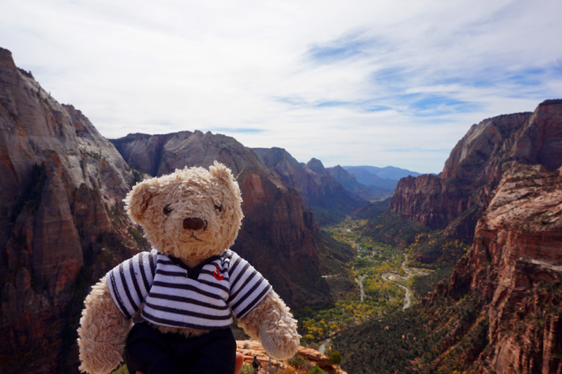 Gulliver at Angel's Landing, Zion National Park, USA