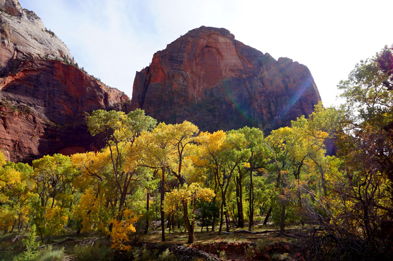 Zion National Park, Utah, USA