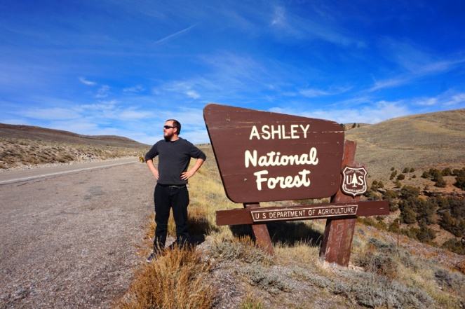 Ashley National Forest, Utah / Wyoming