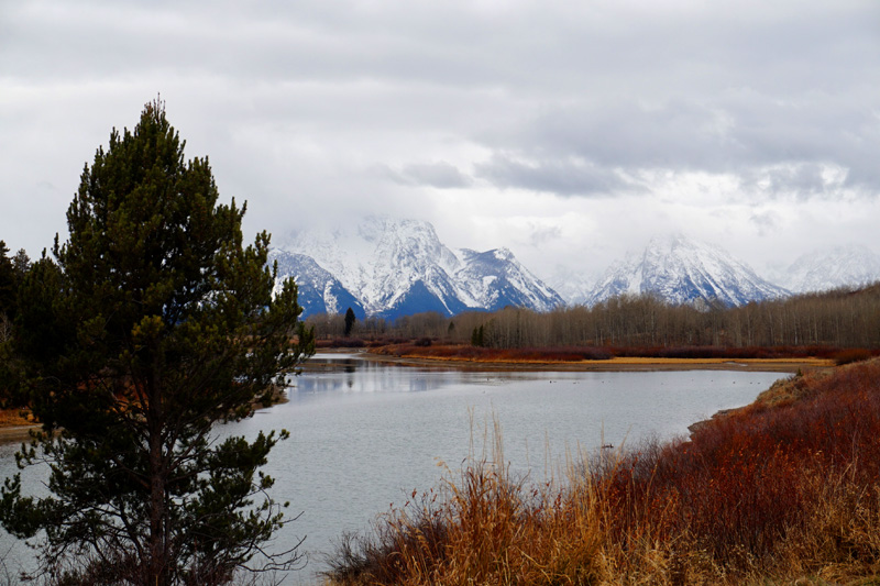 Grand Teton National Park, Wyoming, USA