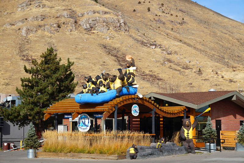 Bears rafting, Jackson Hole, Wyoming, USA