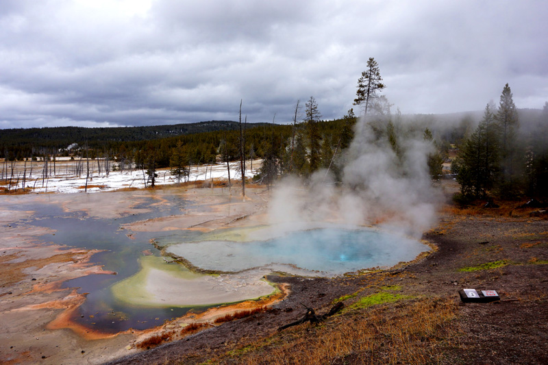 Hot springs, Yellowstone National Park, USA
