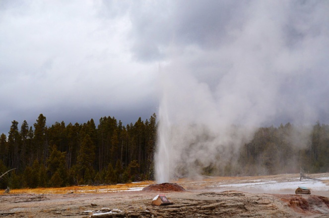 Mini geyser, Yellowstone National Park, USA
