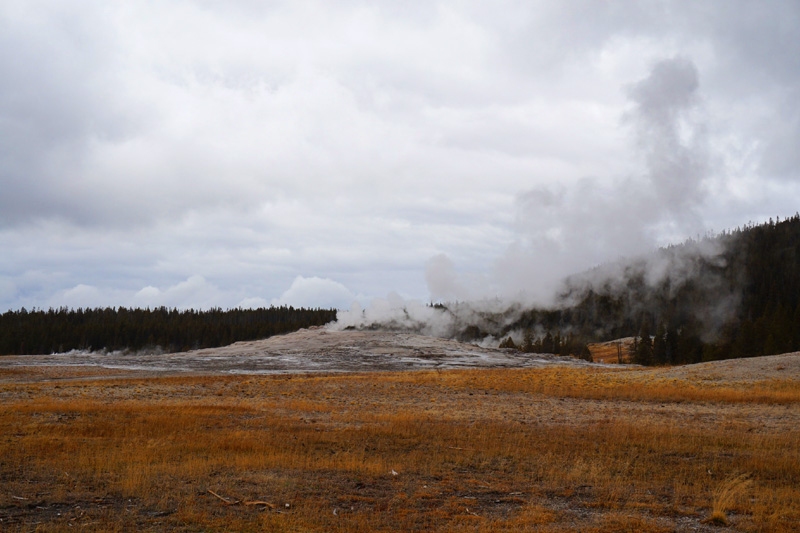 Old Faithful geyser, Yellowstone National Park, USA