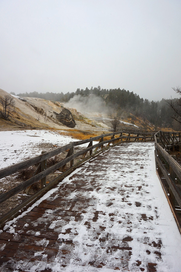 Mammoth Hot Springs, Yellowstone National Park, USA