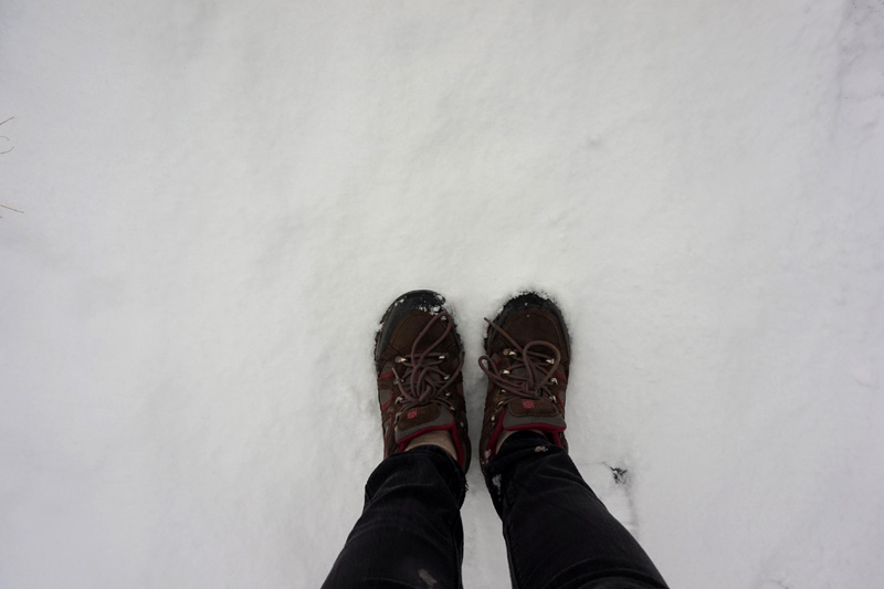 Snow, Yellowstone National Park, USA