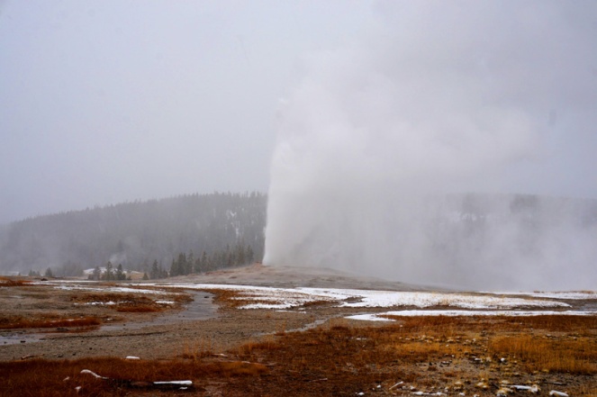 Old Faithful geyser, Yellowstone National Park, USA